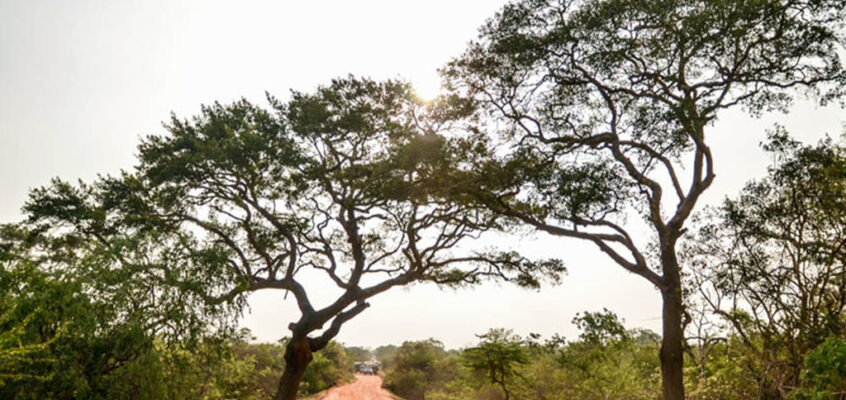 About Yala & Bundala